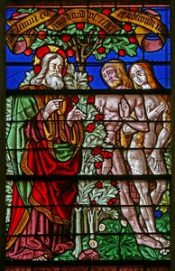 Window 40 depicting Adam and Eve discovered with fig leaves by French School