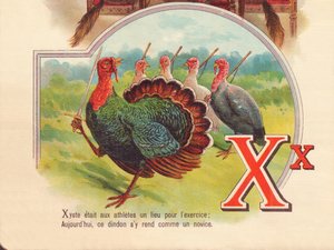 Xyste was a place for athletes to exercise; today, this turkey goes there like a novice