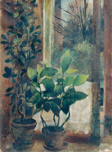 Window with Flowers