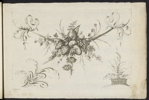 Garland of Fruits, Leaves and Flowers by Friedrich Jacob Morisson