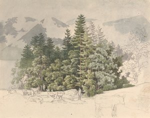 Alpine Landscape