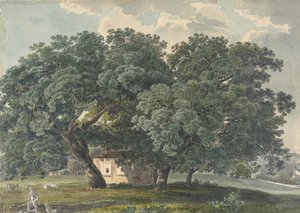 Italian Landscape with Trees