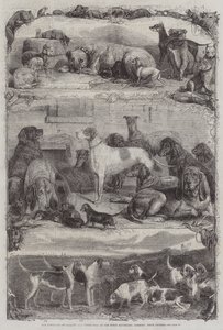 The Exhibition of Sporting and other Dogs at the Horse Repository, Holborn, Prize Animals