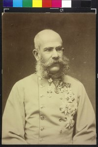 Franz Joseph I by Fritz Luckhardt