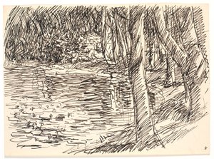 A Forest Lake