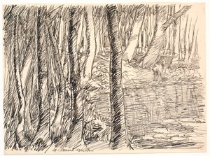 And in the Forests Deep Lakes