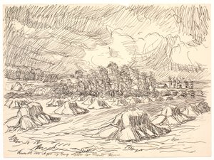 Around Field and Meadow Were Large Forests