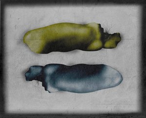 Organic Abstract Forms by Fuyuki Hattori