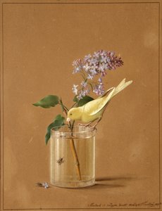 Canary Bird on a Lilac Branchlet