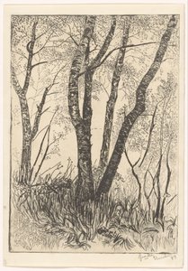 Trees in Tall Grass