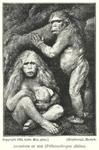 Ancestors of Man, Pithecanthropus Alalus by Gabriel Max