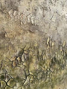 Aged Cracked Surface by Gabriela Aleksandra Szuba
