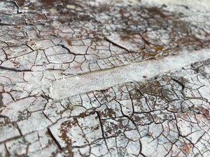 Cracked White Surface by Gabriela Aleksandra Szuba