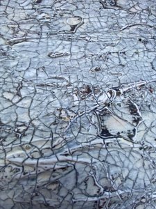 Cracked White Texture by Gabriela Aleksandra Szuba