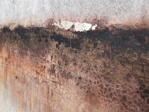 Rustic Cracked Texture by Gabriela Aleksandra Szuba