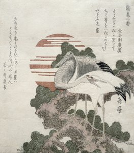 Crane (Tsuru) from the Series 2 Designs of Cranes and Turtles, 1818-30 by Gakutei Harunobu