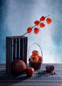 Fruits by GaoSL