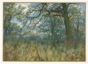 Trees and Undergrowth, 1885