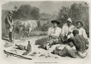 A group of vaqueros playing cards and drinking alcohol, near their herds of oxen. Engraving after a drawing by G. Vuillier, to illustrate the story De Cayenne aux Andes, by Jules Crevaux, doctor of the French navy, in 1878-1879, published in the Tour du mo by Gaston Vuillier