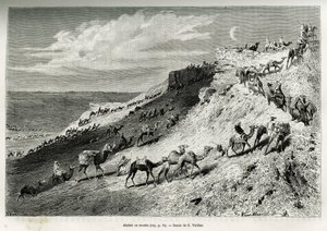 Akabah or Line Up Camels from the Caravan (engraving by G. Vuillier, to illustrate the story 