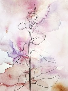 Pink Watercolor Botanical