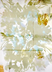 Soft Botanical Dreams