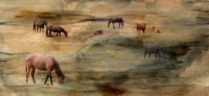 Wild Horses Grazing by Gemma Bardot