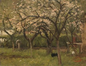 Blossoming Tree in an Orchard