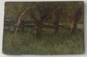 Orchard