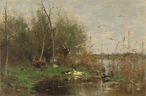 Ducks beside a Duck Shelter on a Ditch