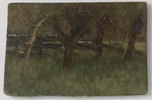 Orchard