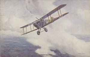 Sopwith Dolphin fighter plane by Geoffrey (after) Watson