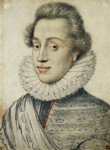Portrait of a Young Man of Quality, Half Length, in a High Ruff by Geoffroy Dumonstier