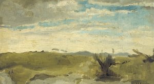 View in the Dunes near Dekkersduin