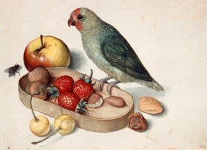 Still Life with Lovebird by Georg Flegel