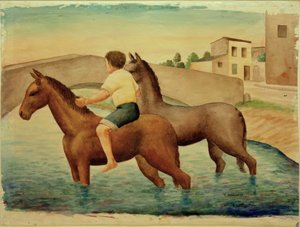 Horse Bathing