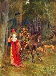 Forest Conversation
