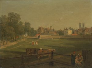 A Western View of Part of Westminster and Bird Cage Walk, from Mill House