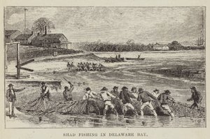 Shad Fishing in Delaware Bay by George Augustus Sala