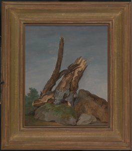 Study of Rocks and Branches