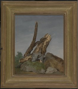 Study of Rocks and Branches