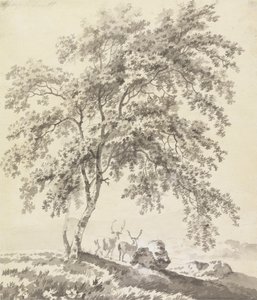 Tree Study with Stags (Landscape) by George Barret