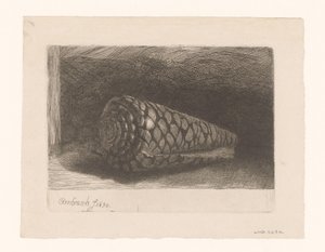 The Shell by George Bickham (II)