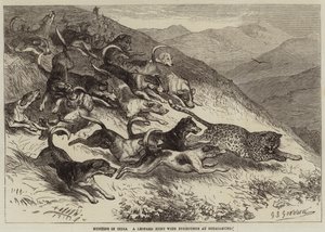 Hunting in India, a Leopard Hunt with Foxhounds at Ootacamund by George Bouverie Goddard