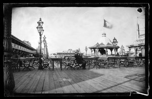 Cables and Iron Cow, Coney Island, Brooklyn