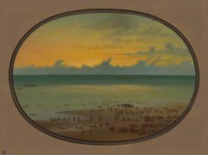 A Whale Ashore - Klahoquat