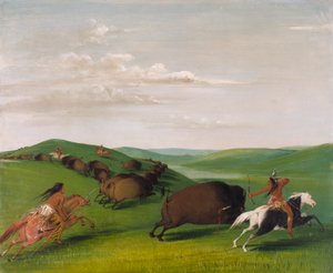 Buffalo Chase with Bows and Lances