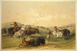 Buffalo Hunt: A Numerous Group by George Catlin