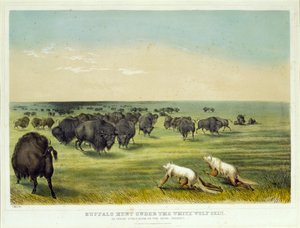 Buffalo Hunt under the White Wolf Skin by George Catlin