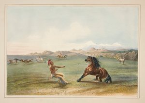 Catching the Wild Horse, plate 4 from the North American Indian Portfolio